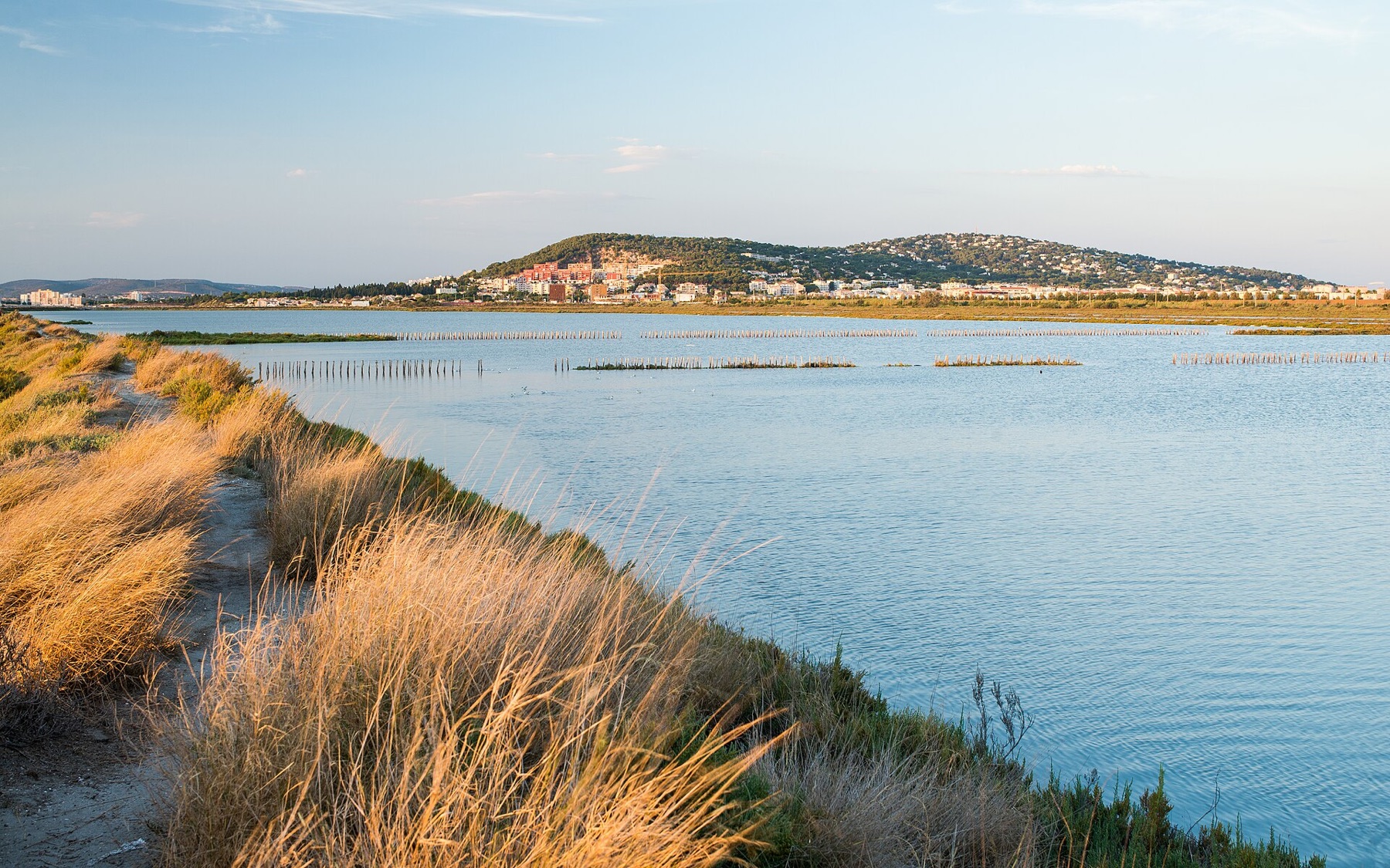 Le lido de Thau et le mont Saint-Clair